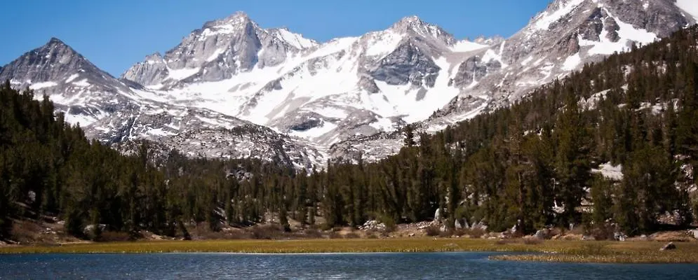 Silver Bear # 36 Mammoth Lakes 0*,